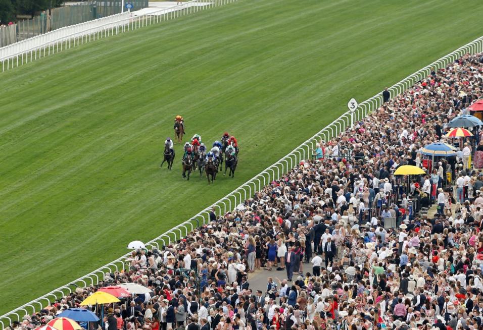 There is racing from Ascot on Friday